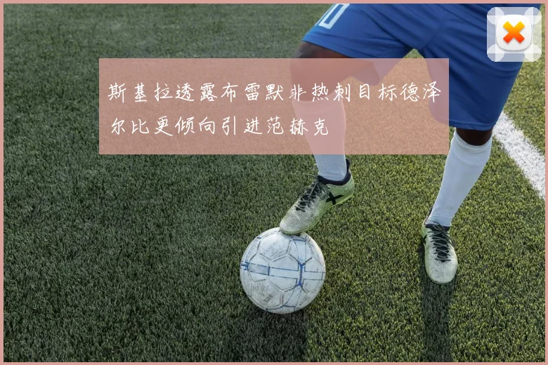 斯基拉透露布雷默非热刺目标德泽尔比更倾向引进范赫克